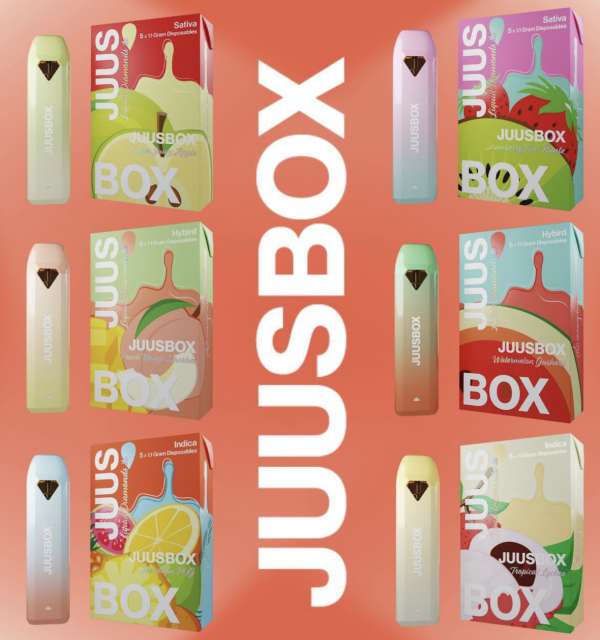 Buy Juusbox Disposable Online