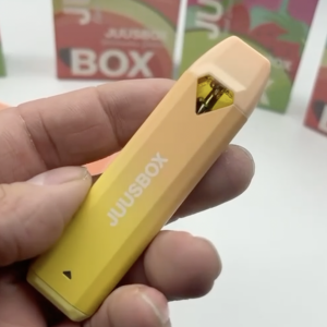 Buy Juusbox Disposable Online