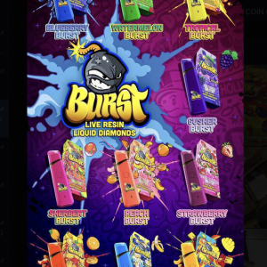 Buy Burst 2g Disposable