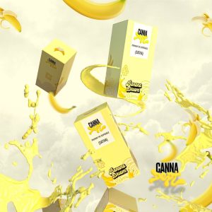 Canna Dept Premium Disposable